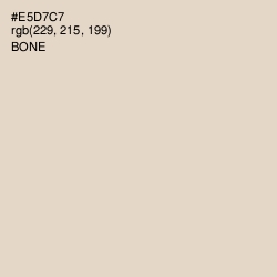 #E5D7C7 - Bone Color Image