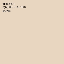 #E8D6C1 - Bone Color Image