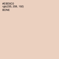 #EBD0C0 - Bone Color Image