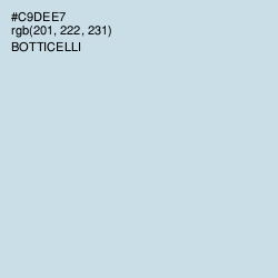 #C9DEE7 - Botticelli Color Image