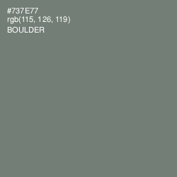 #737E77 - Boulder Color Image