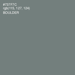 #737F7C - Boulder Color Image