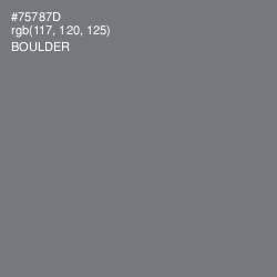#75787D - Boulder Color Image