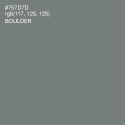 #757D7D - Boulder Color Image