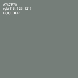 #767E79 - Boulder Color Image