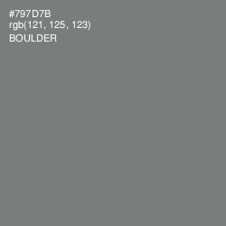 #797D7B - Boulder Color Image