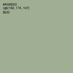 #A0AE93 - Bud Color Image