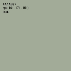 #A1AB97 - Bud Color Image