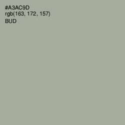 #A3AC9D - Bud Color Image
