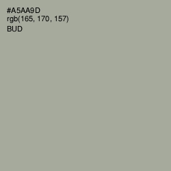 #A5AA9D - Bud Color Image