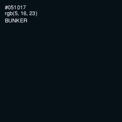 #051017 - Bunker Color Image