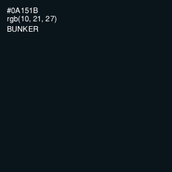 #0A151B - Bunker Color Image