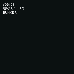 #0B1011 - Bunker Color Image