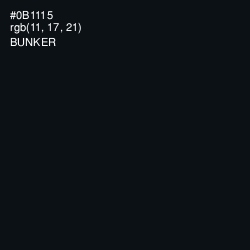 #0B1115 - Bunker Color Image