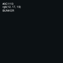 #0C1113 - Bunker Color Image