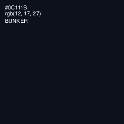 #0C111B - Bunker Color Image