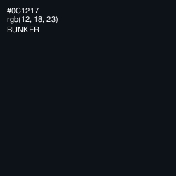 #0C1217 - Bunker Color Image
