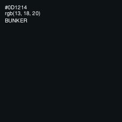 #0D1214 - Bunker Color Image