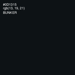#0D1315 - Bunker Color Image