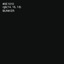 #0E1010 - Bunker Color Image