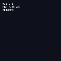 #0E101B - Bunker Color Image