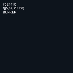 #0E141C - Bunker Color Image