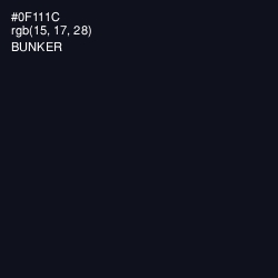 #0F111C - Bunker Color Image