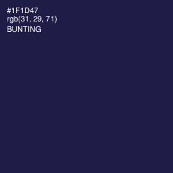 #1F1D47 - Bunting Color Image