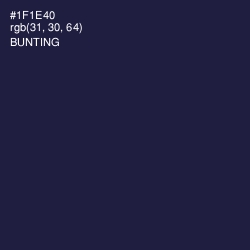 #1F1E40 - Bunting Color Image
