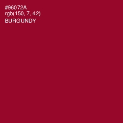 #96072A - Burgundy Color Image
