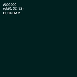 #002020 - Burnham Color Image
