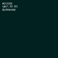 #012020 - Burnham Color Image