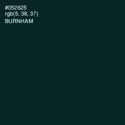 #052625 - Burnham Color Image