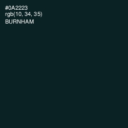 #0A2223 - Burnham Color Image