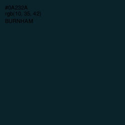 #0A232A - Burnham Color Image
