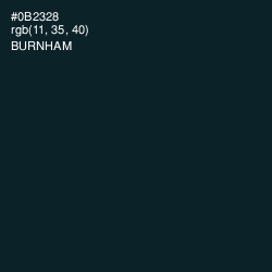 #0B2328 - Burnham Color Image