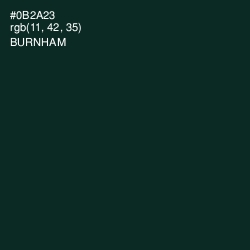 #0B2A23 - Burnham Color Image