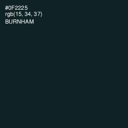 #0F2225 - Burnham Color Image