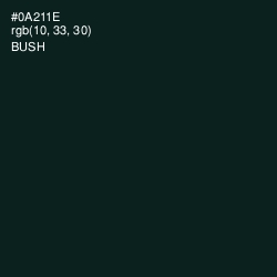 #0A211E - Bush Color Image