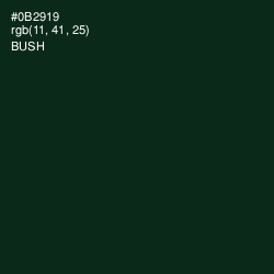 #0B2919 - Bush Color Image