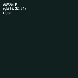 #0F201F - Bush Color Image
