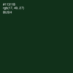 #11311B - Bush Color Image