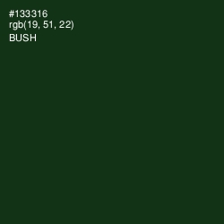#133316 - Bush Color Image