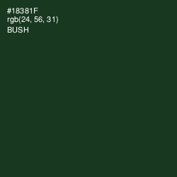 #18381F - Bush Color Image