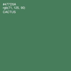 #477D5A - Cactus Color Image