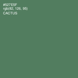 #527E5F - Cactus Color Image