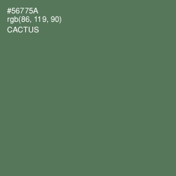 #56775A - Cactus Color Image