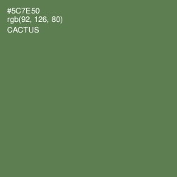 #5C7E50 - Cactus Color Image