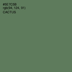 #5E7C5B - Cactus Color Image