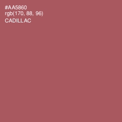 #AA5860 - Cadillac Color Image
